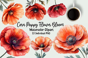 Corn Poppy Flower Bloom Clipart, an Illustration by OK Design