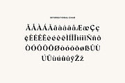 Heartbreak Luxury Serif Font, a Serif Font by UICreative (Thumbnail 9 of 13)