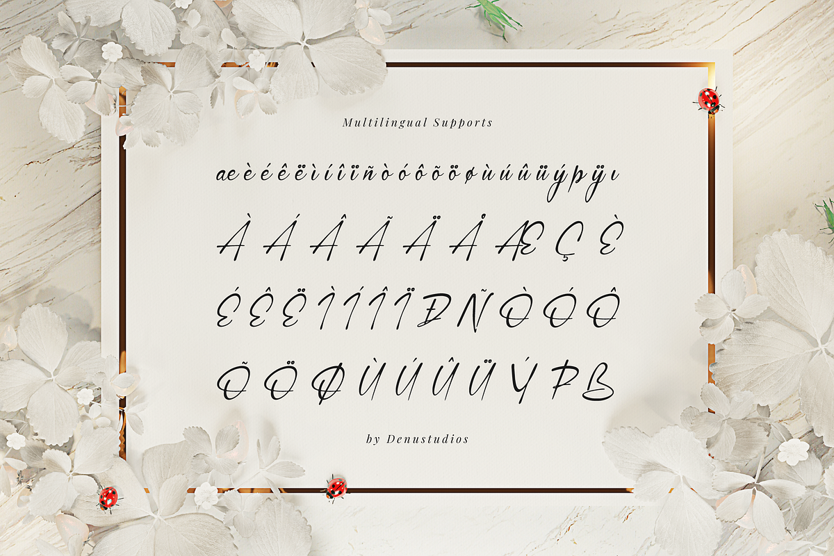 Simsalty Barthilon Elegant Signature, a Script Font by Denustudios (Photo 11 of 12)
