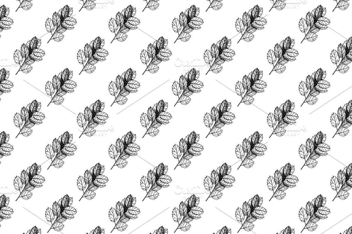 Black and White Patterns, a Pattern Graphic by Alexandra Fulger (Photo 12 of 21)