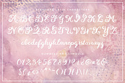 Eiffell Brush Script Font + Extras, a Script Font by Design Panoply (Thumbnail 2 of 11)