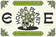 House Plant Display Font, a Font by Brethrendesignco (Thumbnail 3 of 4)