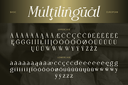 Desevon, a Serif Font by Burntilldead (Thumbnail 10 of 11)