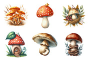 Watercolor Autumn Mushroom Clipart, an Illustration by Daily.Designs (Thumbnail 4 of 5)