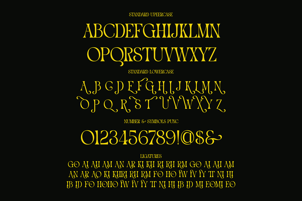 Wader Modern Elegant Serif, a Serif Font by Alfinart (Photo 10 of 11)