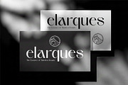 Radeyn | Modern Classy Logo Font, a Serif Font by Sealoung (Thumbnail 5 of 8)