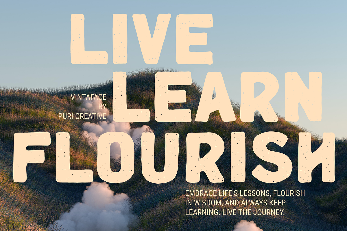 Vintaface - Vintage Style Font, a Sans Serif Font by PuriCreative (Photo 3 of 10)