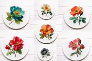 Wild Roses Clipart, an Illustration by Designworld (Thumbnail 5 of 6)