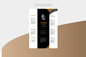 Luxury and simple CV