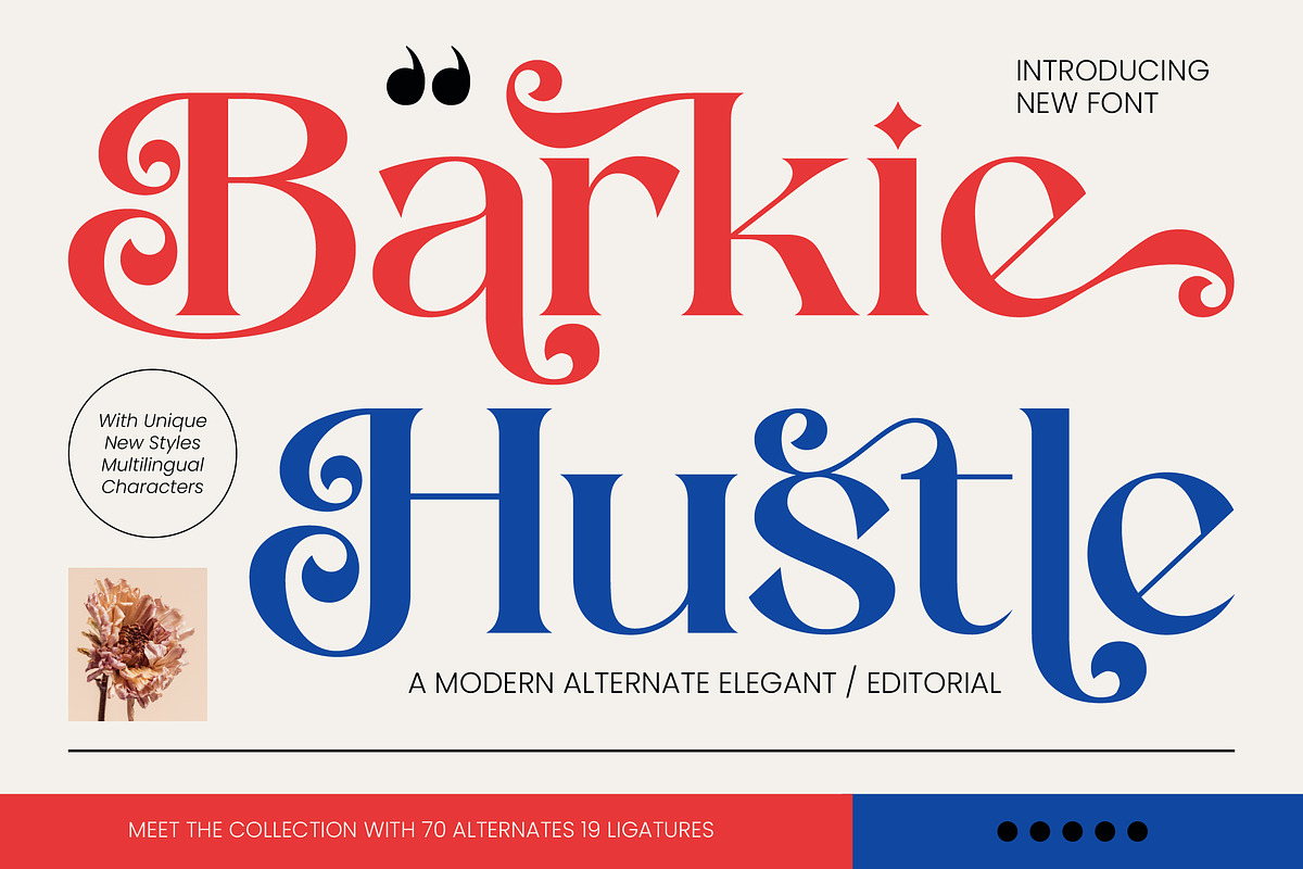 Barkie Hustle Modern Alternate, a Serif Font by timelesstype.co (Photo 1 of 10)
