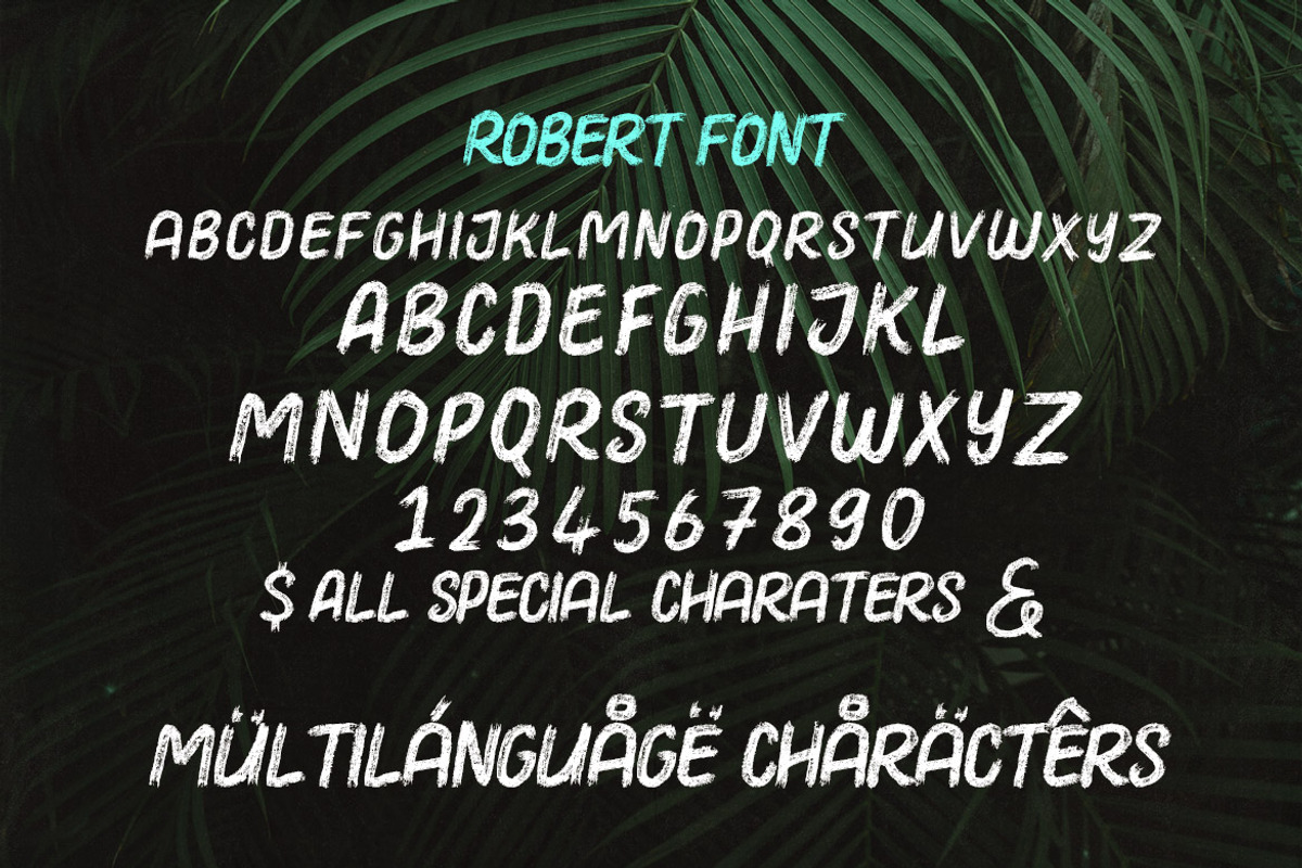 Robert Casual Brush Font, a Font by Deeezy (Photo 4 of 5)