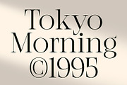 CS Anstey – Elegant Serif Font, a Serif Font by Craft Supply Co. (Thumbnail 5 of 8)