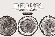 Tree Rings Wood Sketches, a Decorative Illustration by TheMountBirdStudio (Thumbnail 1 of 5)