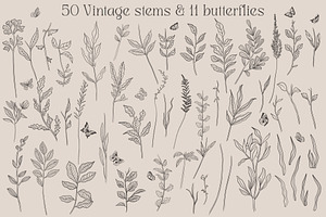 Vintage Wild Flowers Collection