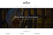Unrestraint One Page Theme, a Landing Page Template by IceTemplates (Thumbnail 1 of 3)