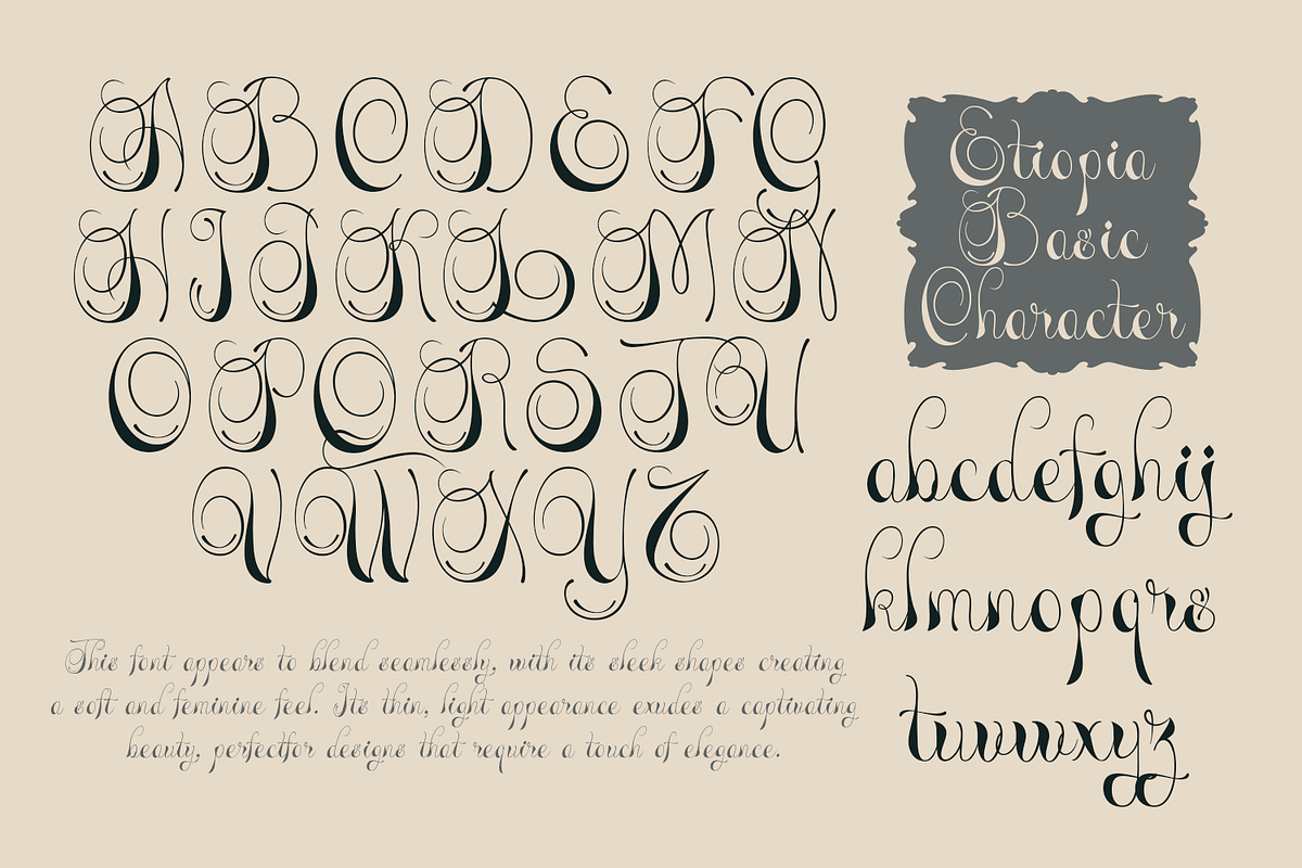 Etiopia Script, a Script Font by TypeClassHeroes (Photo 4 of 10)