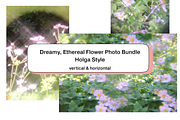 Dreamy, Ethereal Flower Photo Bundle, a Nature Photo by AmandaFagan (Thumbnail 2 of 13)