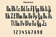 The Zipolite Font, a Script Font by Dene Studios (Thumbnail 2 of 11)