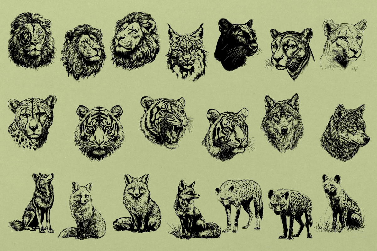 330 ZOO Animals vector illustrations, an Animal Illustration by Nocturnal Wolf (Photo 7 of 18)