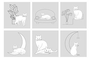 Elegant Cats Collection