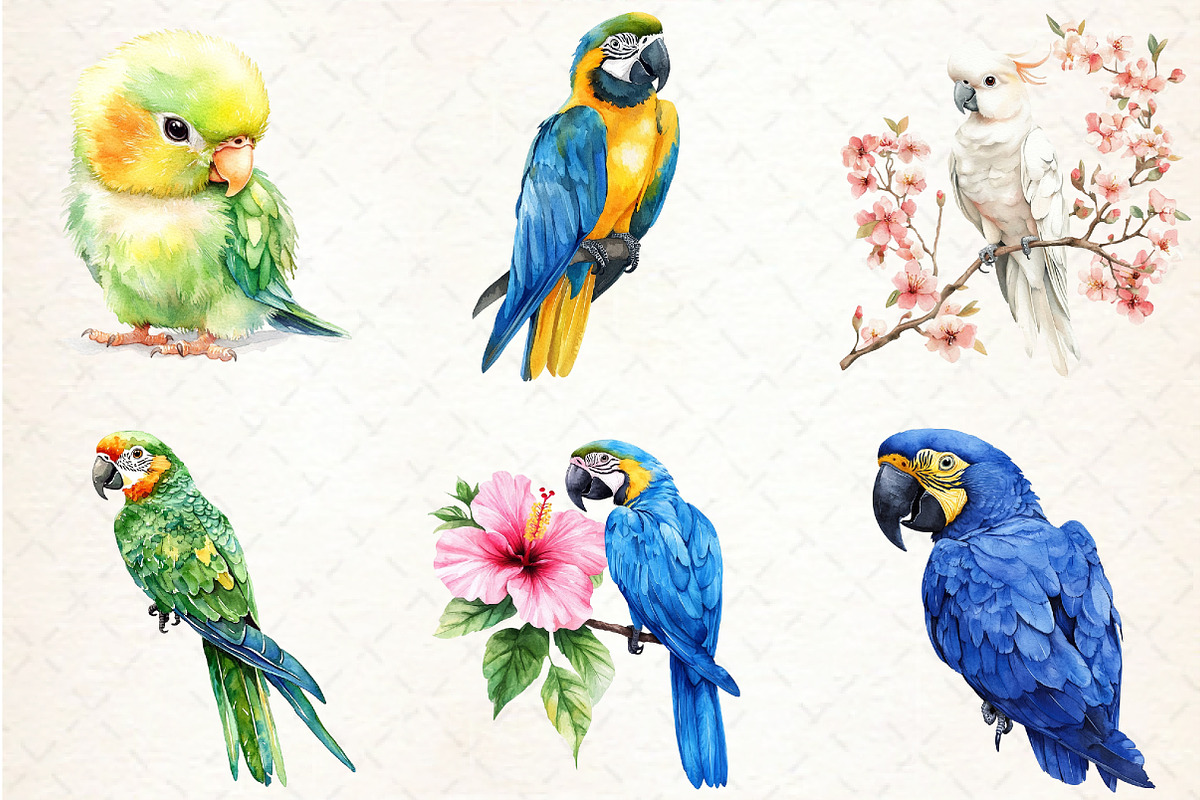 Watercolor Tropical Parrots Clipart, an Illustration by Libby Wishes (Photo 3 of 6)