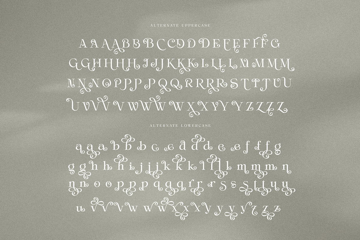 Wendy Bowsher Stylish Serif, a Serif Font by Cruzine (Photo 6 of 8)