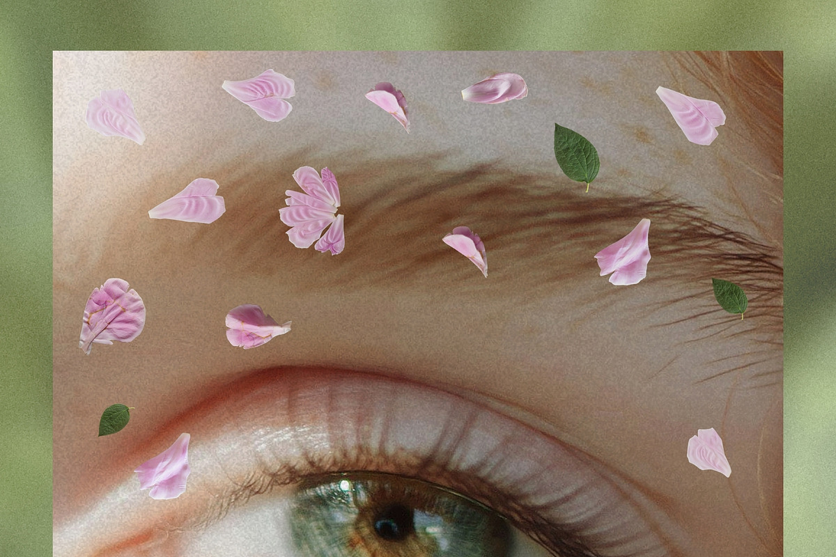 Petals Botanical Overlay Kit & Paper, an Object Graphic by Allure Art (Photo 11 of 22)