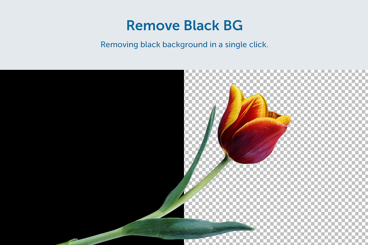 Background Removal Tools, an Action Add-On by bbtools (Photo 5 of 8)