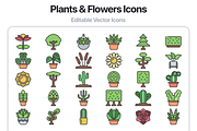 100 Plants & Flowers Soft Fill Icons, an Outline Icon by Juicy Icons (Thumbnail 6 of 6)