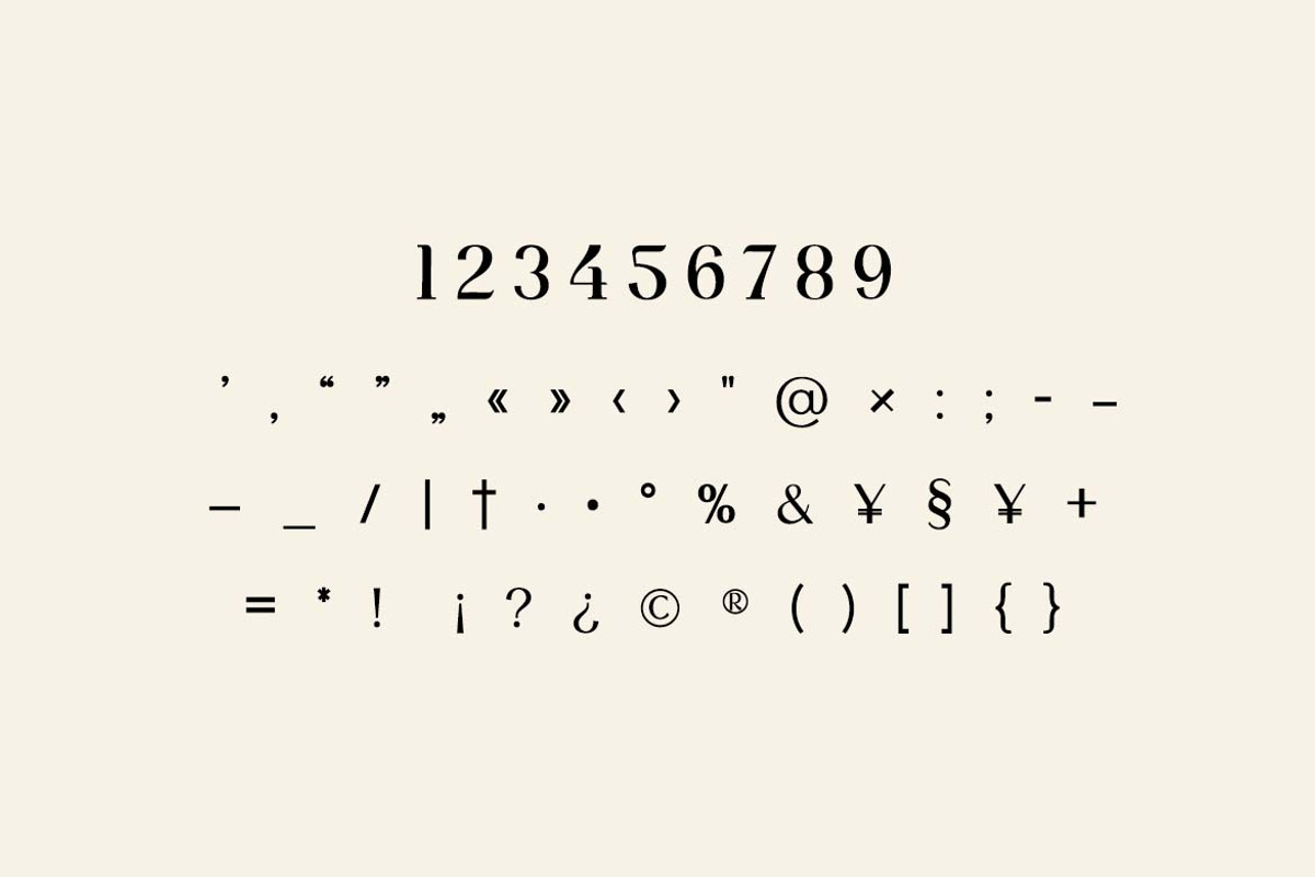 Prestige Display Serif Display Font, a Serif Font by UICreative (Photo 3 of 13)