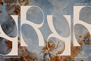 FRENCH CHATEAUX - Chic Display Font, a Sans Serif Font by SilverStag Type Foundry (Thumbnail 4 of 22)
