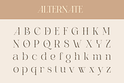A Refined Luxury Serif - Relooyd, a Serif Font by Qweera Studio (Thumbnail 9 of 12)