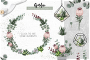 Protea - botanical garden collection, an Illustration by lokko studio (Thumbnail 3 of 7)