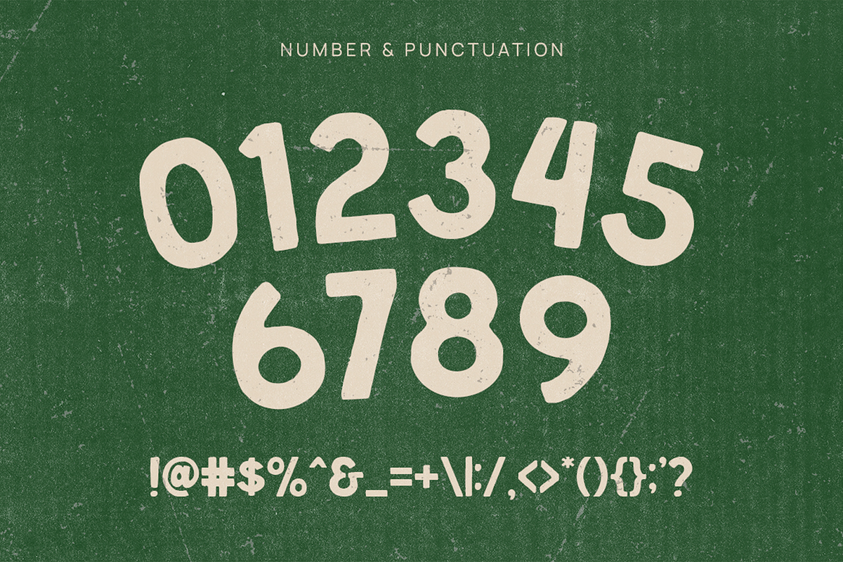 Wildboar - Vintage Display Font, a Sans Serif Font by Pekotype (Photo 4 of 15)
