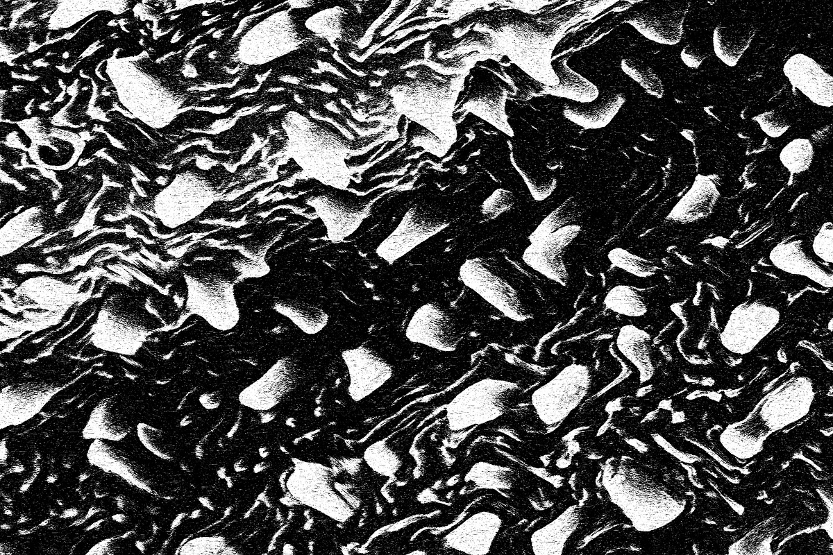 Lilliputian, a Texture Graphic by Jennifer Lauren Creative (Photo 2 of 28)