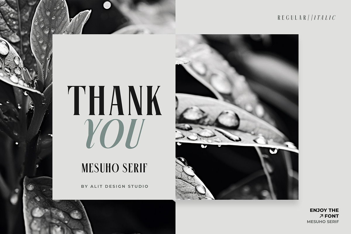Mesuho Font, a Serif Font by alit design (Photo 17 of 17)