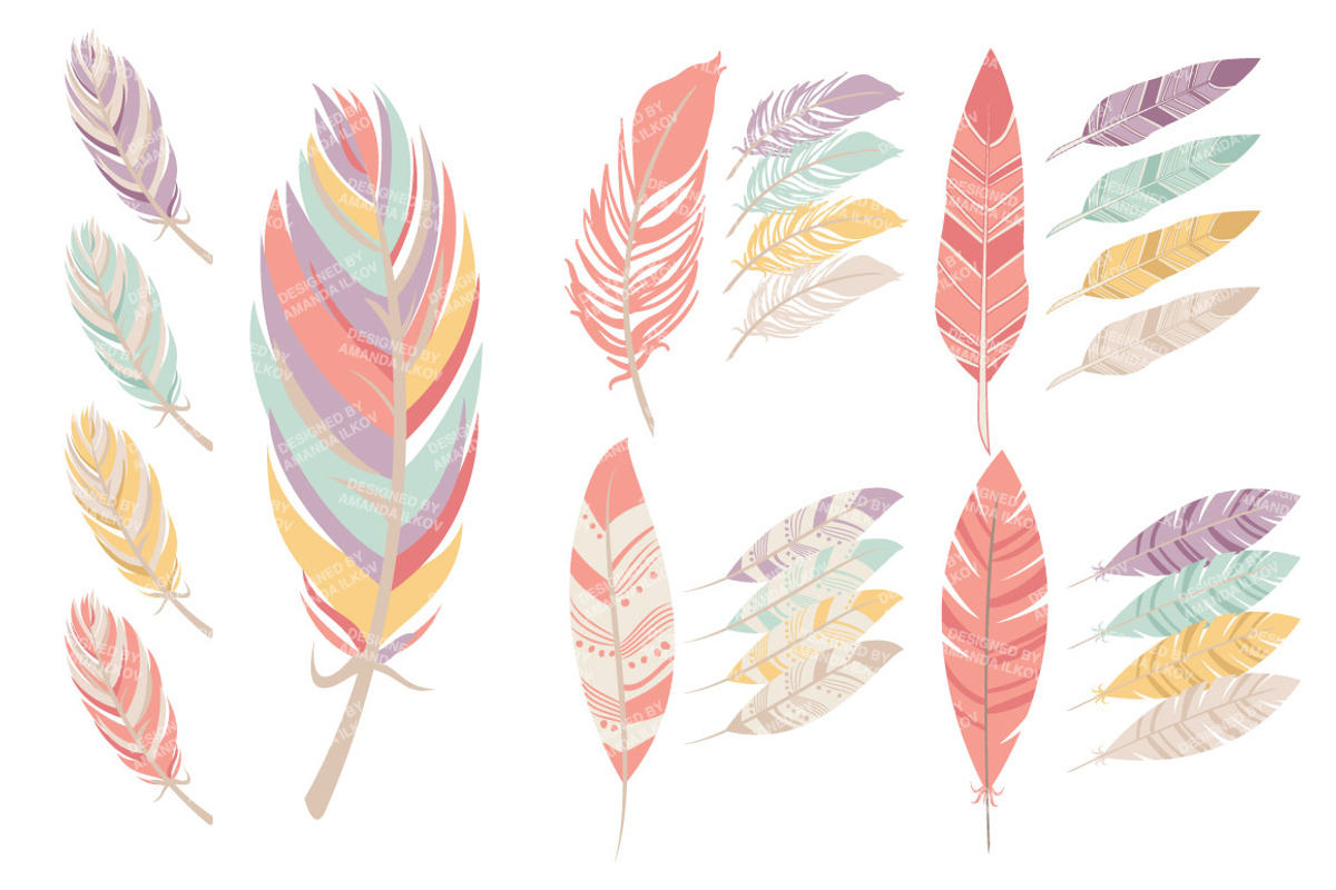 Vintage Pink Feathers Vector Clipart, an Illustration by Amanda Ilkov (Photo 4 of 4)