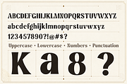 Krushnah - Condensed Display Serif, a Serif Font by Mytype Studio (Thumbnail 4 of 10)