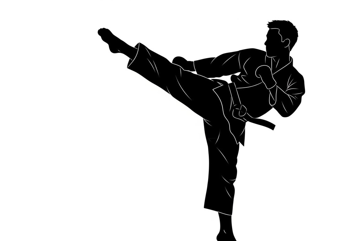 Dynamic martial arts kick silhouette, a Graphic by Amazin_art (Photo 7 of 36)