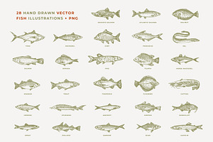 Hand Drawn Fish Logos Collection