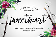 Premium Font Bundle, a Script Font by Flycatcher Design (Thumbnail 86 of 140)