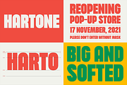 Font Bundle - Complete Collection, a Serif Font by A.Budianto (Thumbnail 14 of 39)