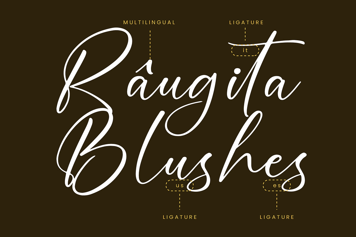 Bounty Amethysa Beautiful Script, a Script Font by Letterena Studios Script (Photo 12 of 15)