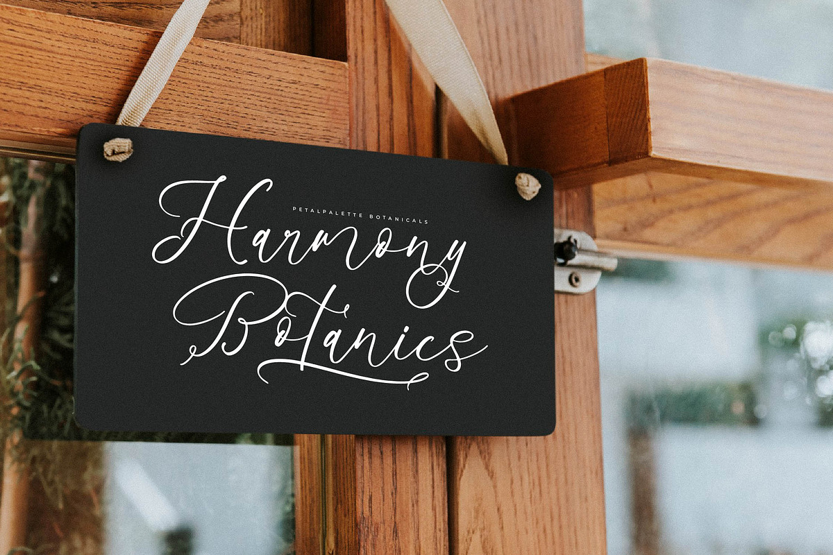 Benthany Amourty Modern Calligraphy, a Script Font by Letterena Studios Script (Photo 6 of 15)