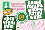 Bumsy, a Sans Serif Font by Flavortype (Thumbnail 2 of 13)