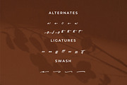 Anettasya Mottarue, a Script Font by Integritype Studio (Thumbnail 11 of 15)