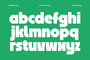 Cosmora - Modern Bold Font, a Sans Serif Font by limitype (Thumbnail 10 of 12)