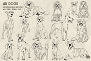 Dogs Line Art + Procreate Stamps, an Animal Illustration by Skliarova (Thumbnail 4 of 4)