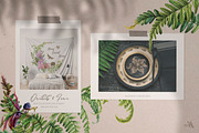 Watercolor Vintage Botany, an Illustration by Fluffy Unicorn (Thumbnail 2 of 10)