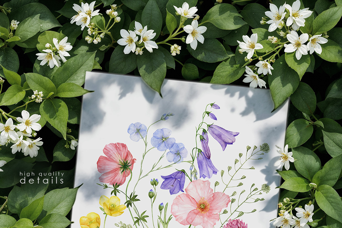 Wildflower watercolor floral clipart, a Decorative Illustration by ReachDreams (Photo 9 of 10)
